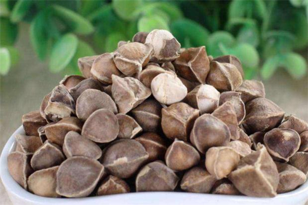 辣木籽不能和什么同食,辣木籽不能和什么同吃 建议勿和这三类食物搭配