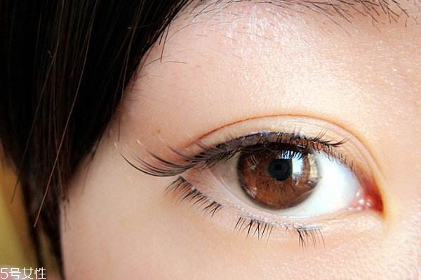 睫毛打底膏怎么用,睫毛底膏,是干什么用的?