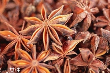 哪里的八角最好,八角大料哪里产的好
