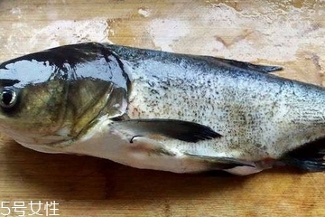 怎样炖胖头鱼好吃,胖头鱼头怎么做好吃