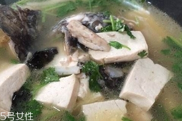 鲶鱼为什么有胡须,鲶鱼有没有胡须