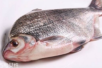 鳊鱼可以做酸菜鱼吗,鲽鱼可以做酸菜鱼吗