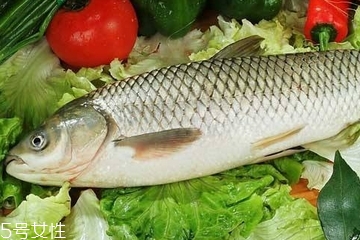 草鱼是发物吗?,草鱼是发物吗哪些人不可以吃