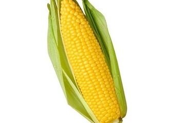 玉米油是玉米榨的吗,玉米油是怎么榨出来的吗