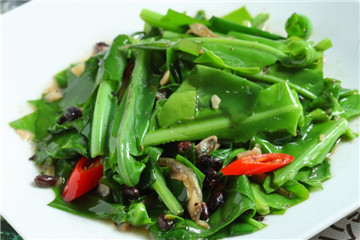 山苏是什么菜,山苏菜是什么菜