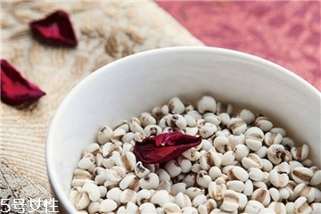 薏仁能祛湿吗,薏仁可以去湿气吗