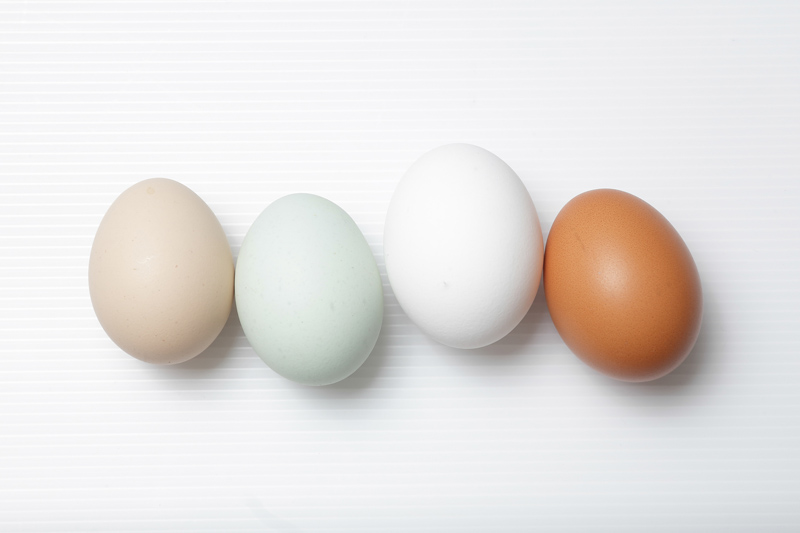 土鸡蛋和普通鸡蛋的区别,你知道多少?,土鸡蛋跟普通鸡蛋 土鸡蛋和普通鸡蛋的区别,你知道多少?,土鸡蛋跟普通鸡蛋