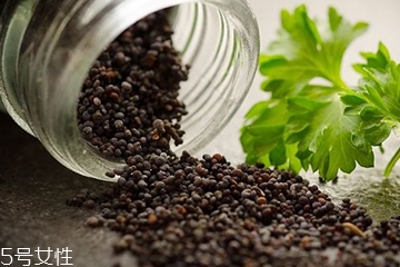 罂粟籽的功效和作用,罂粟籽的药用价值