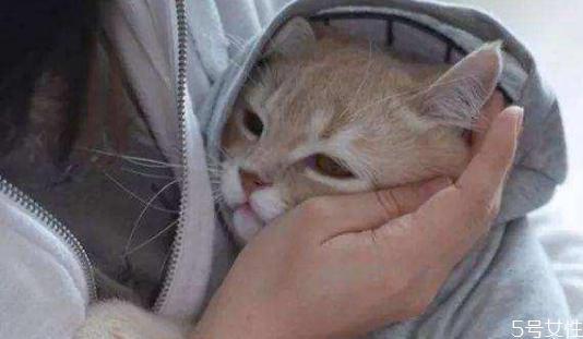 定期清洗的目的(清洗的目的及作用) 定期清洗的目的(清洗的目的及作用)