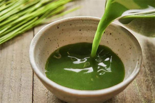 青汁可以和益生菌一起喝吗,益生菌粉的作用是什么