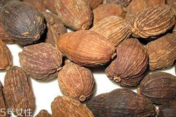 草果和草果仁的区别是什么,草果和草果仁一样吗