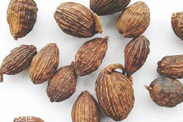 草果和砂仁,草果和砂仁的区别和作用 草果和砂仁,草果和砂仁的区别和作用