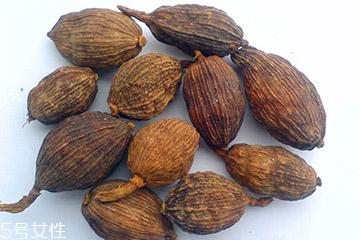 草果和香果是一样的吗,草果和香果有什么区别