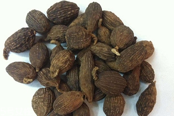 草果是中药吗?,草果是中药吗它有什么作用