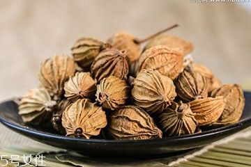 草果是不是罂粟果,草果是不是罂粟