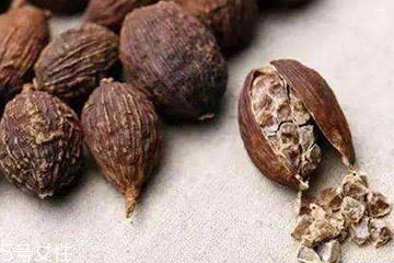 草果是水果吗,草果是什么果