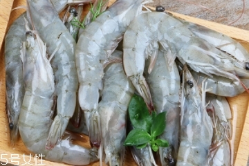 基围虾会回奶吗,基围虾发奶还是回奶