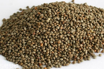 紫苏子是中药吗?,中药苏子是不是紫苏子 紫苏子是中药吗?,中药苏子是不是紫苏子