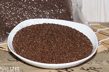 紫苏子是热性还是凉性,紫苏性温还是性寒