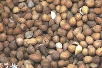 紫苏子可以吃吗,紫苏儿童可以吃吗 紫苏子可以吃吗,紫苏儿童可以吃吗