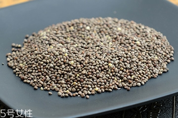 紫苏子可以泡茶喝吗,紫苏可以泡水喝吗?