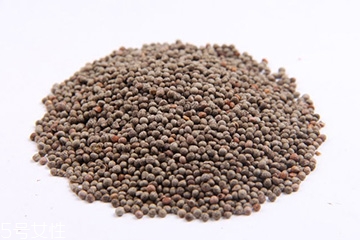 紫苏子怎么种植,紫苏子怎么种植紫苏的价格是怎么算的