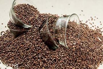 紫苏子有什么用途,紫苏有何药用价值 紫苏子有什么用途,紫苏有何药用价值