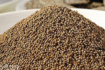 什么是紫苏长什么样,植物紫苏