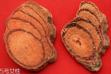 鸡血藤的营养成分表,鸡血藤的作用和用途