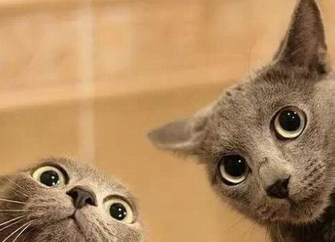 当心鞭炮声(鞭炮声不断)