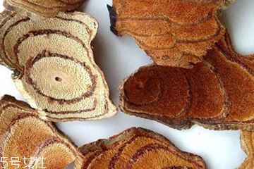 鸡矢藤跟鸡血藤一样吗,药藤和鸡血藤区别