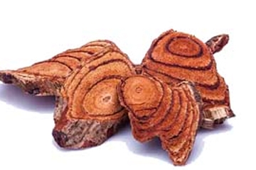 男人喝鸡血藤泡酒可以壮阳吗,鸡血藤和什么泡酒可以壮阳