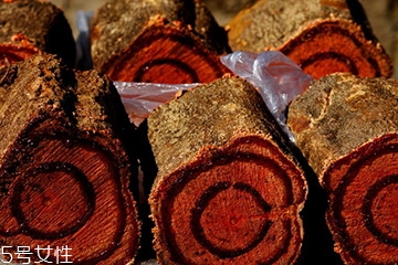 鸡血藤植物图片,鸡血藤的图片