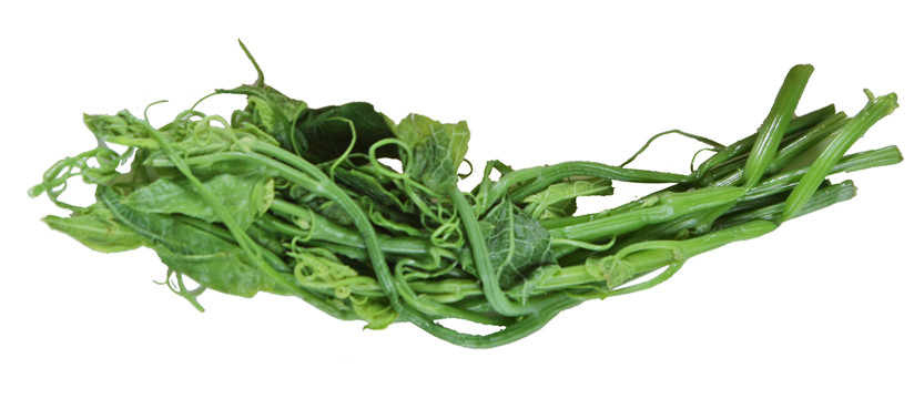 什么是龙须菜图片,龙须菜是什么样子的