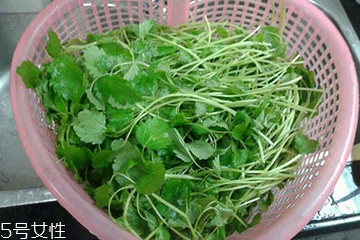 新鲜的益母草晒干以后可怎么使用,益母草晒干怎么使用