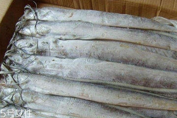 带鱼人工养殖方法,黄鱼能养殖吗