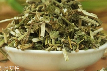 益母草的副作用有哪些,益母草的副作用和不良反应 益母草的副作用有哪些,益母草的副作用和不良反应