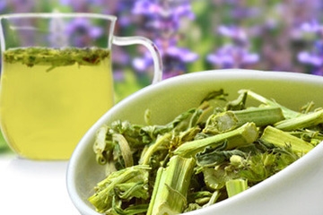 益母草是凉性还是热性的,益母草是凉性还是热性药