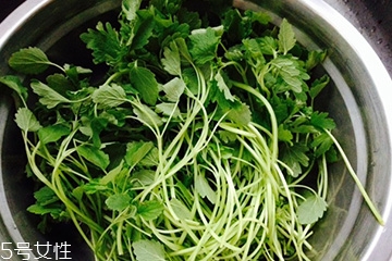 益母草治什么病效果最好,益母草治什么病