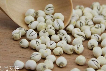 川贝母的常用量,川贝母最大用量是多少