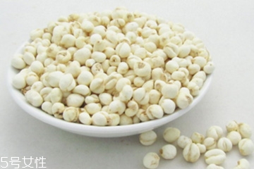 川贝母是怎么生长的,川贝母的性状 川贝母是怎么生长的,川贝母的性状