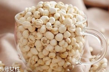 川贝母的功效和作用,川贝母的副作用和禁忌