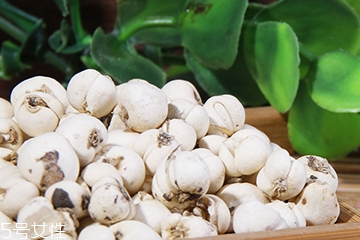 川贝母是不是贝母,贝母是川贝母吗