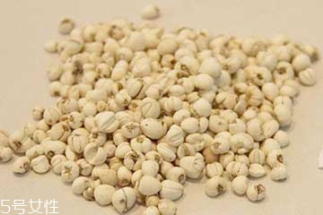 川贝母是凉性还是热性,川贝母寒凉吗