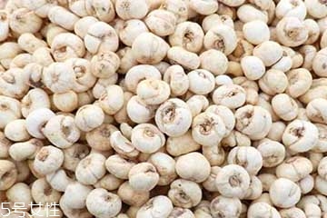 川贝母是什么样的图片,川贝母是什么植物的种子