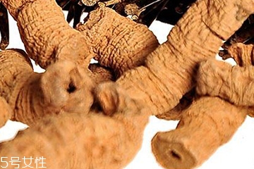 巴戟天成分,巴戟天的作用是什么