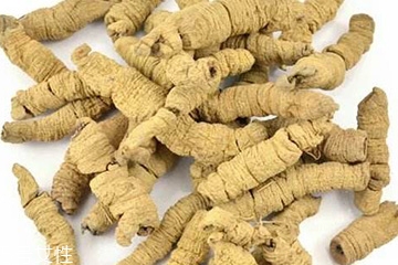 巴戟天可以吃吗,巴戟天可以直接吃吗