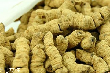 巴戟天怎么保存,巴戟天怎么食用