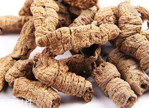 巴戟天和巴戟的区别,巴戟天和巴戟有什么区别