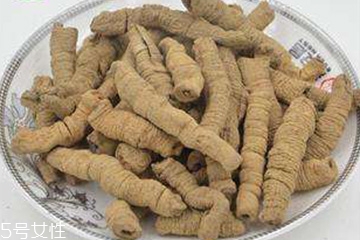 巴戟天属性热还是寒,巴戟天是热性还是凉性